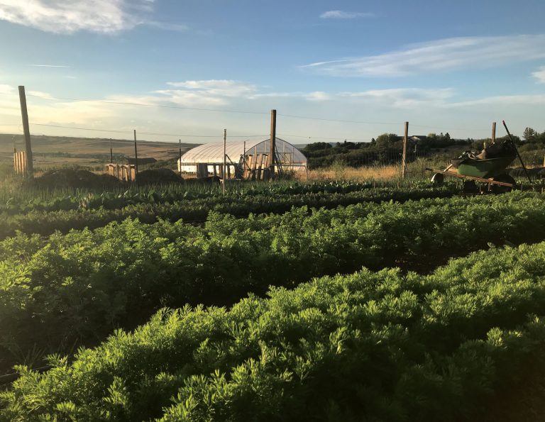 Sandy's Way Microfarm