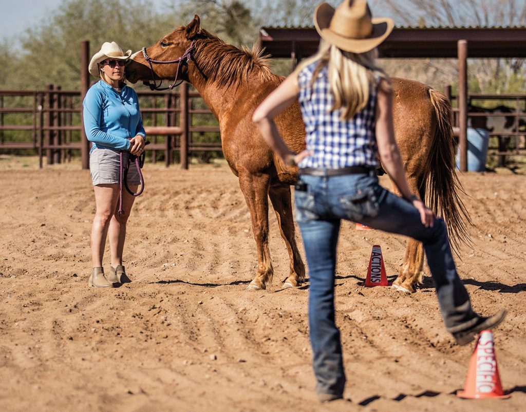 Unbridled Retreats Coaching