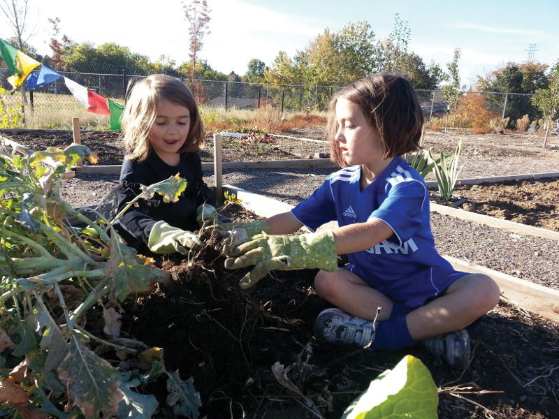 Samuels Community Garden